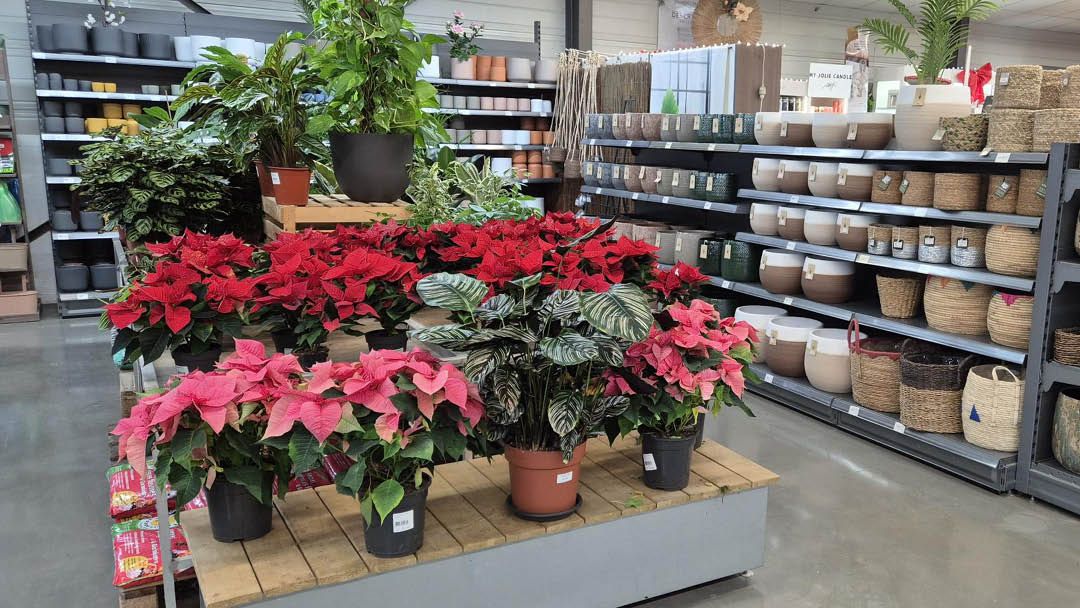 Magasin LES JARDINS DE LA COTIERE - Beynost (01700) Visuel 3