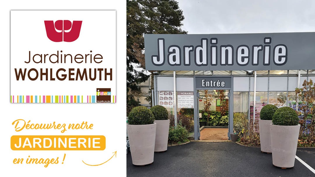 Magasin JARDINERIE WOHLGEMUTH - Iville (27110) Visuel 1