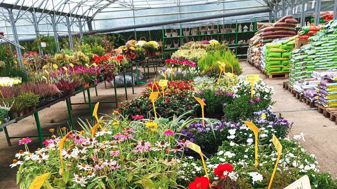 Magasin JARDINERIE LA POTAGERE - Mareuil-Caubert (80132) Visuel 4