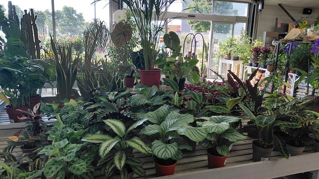 Magasin LES JARDINS DE LA COTIERE - Beynost (01700) Visuel 5