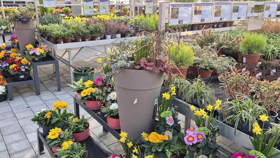 Magasin JARDINERIE DES 2 VALLEES - Cernay (68700) Visuel 3