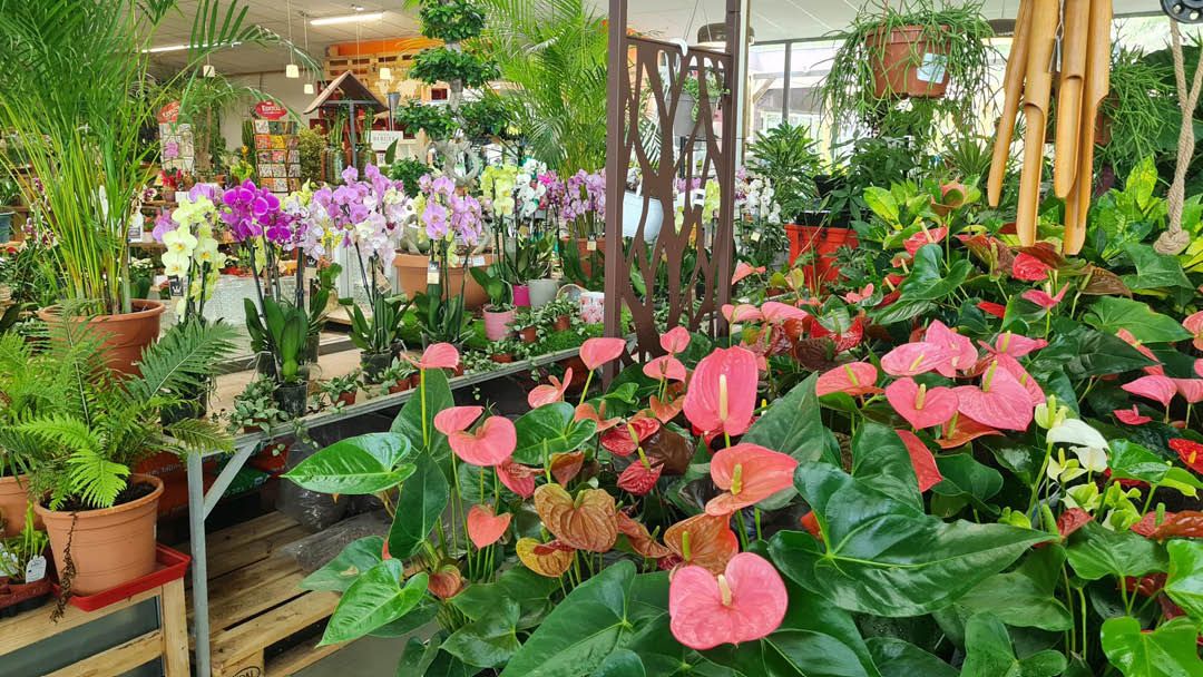 Magasin LES JARDINS DE LA COTIERE - Beynost (01700) Visuel 2