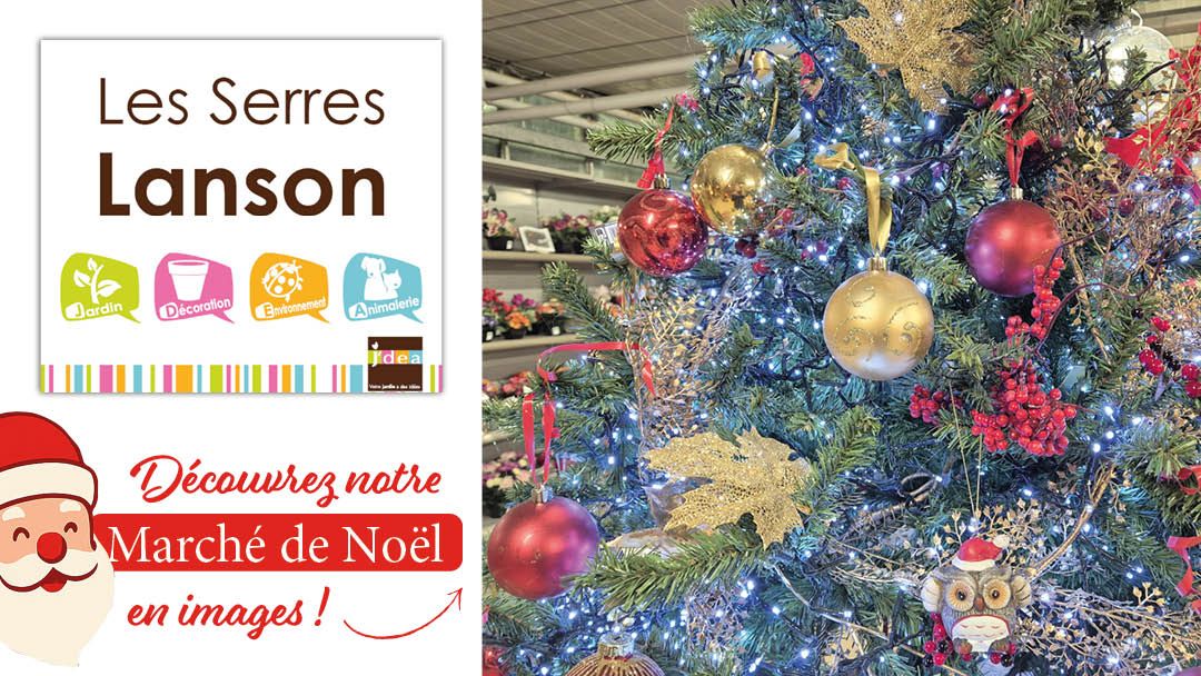 Magasin LES SERRES LANSON - Jargeau (45150) Visuel 1