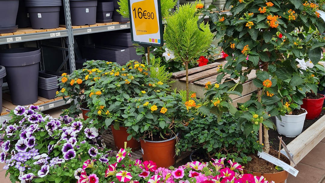 Magasin JARDINERIE JARDIN DECOR - Clisson (44192) Visuel 3
