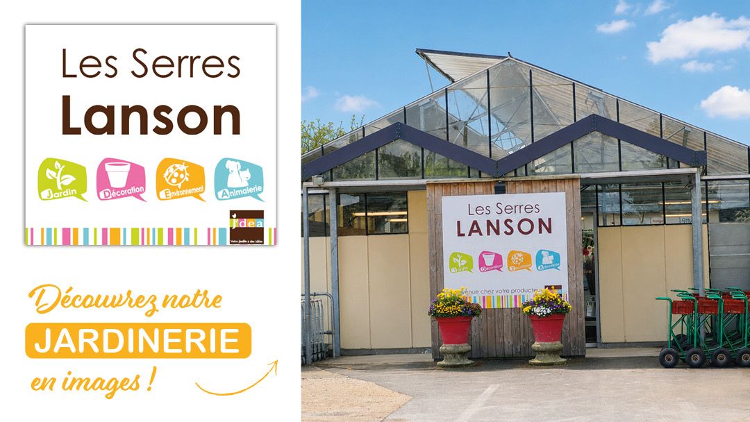 Magasin LES SERRES LANSON - Jargeau (45150) Visuel 1