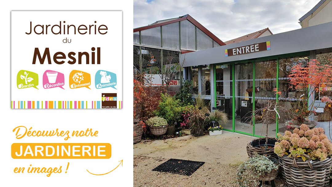 Magasin JARDINERIE DU MESNIL - Le Mesnil-Saint-Denis (78320) Visuel 1