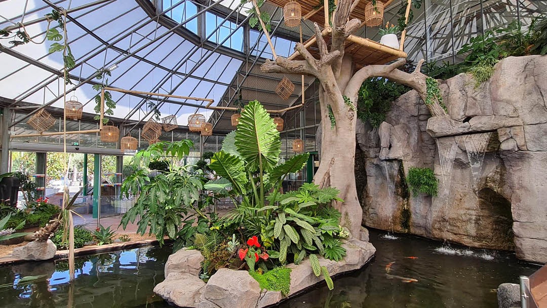 Magasin JARDINERIE TROPIC PLANTES - Caveirac (30820) Visuel 2