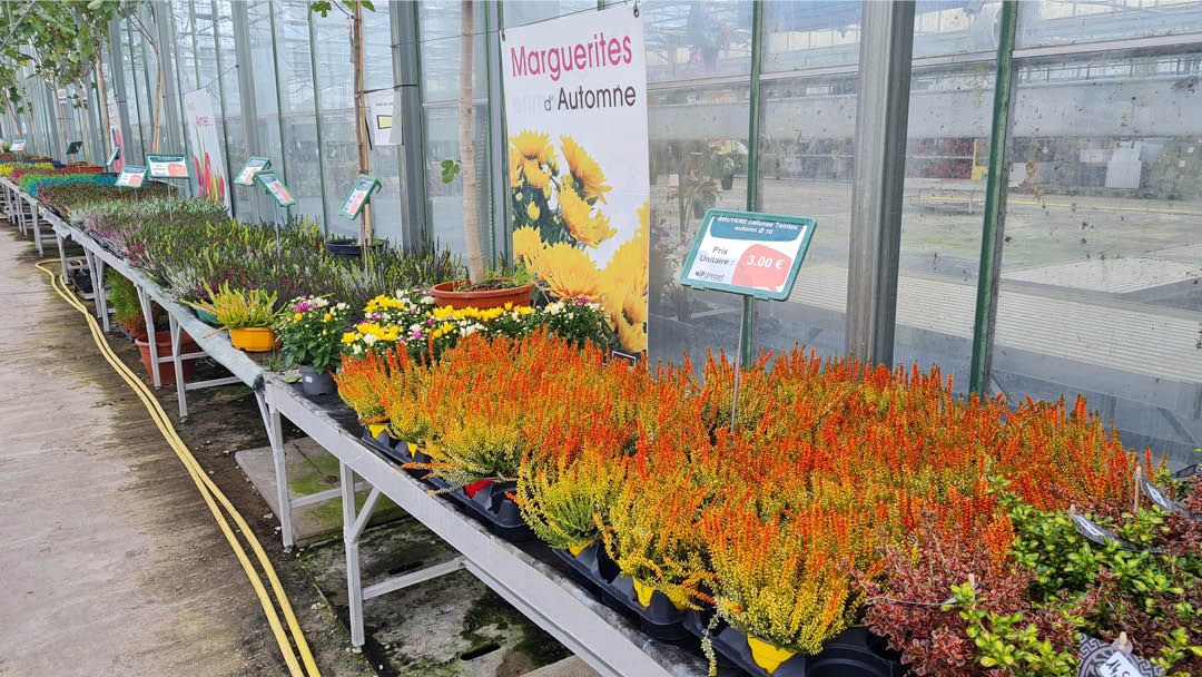Magasin LES SERRES DREZET BETHONCOURT - Bethoncourt (25200) Visuel 5