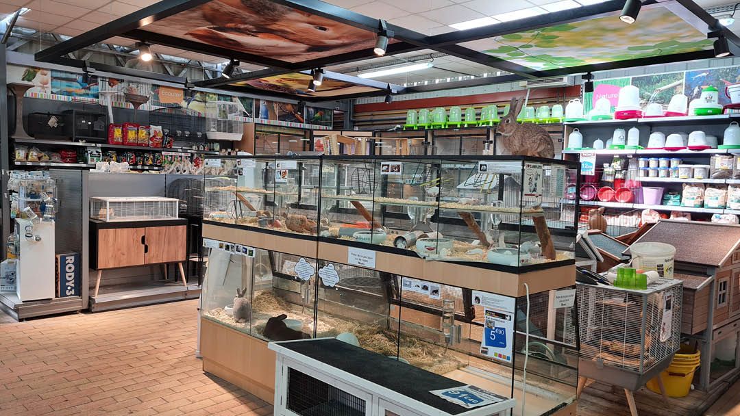 Magasin JARDINERIE JARDIN DECOR - Gétigné (44190) Visuel 5