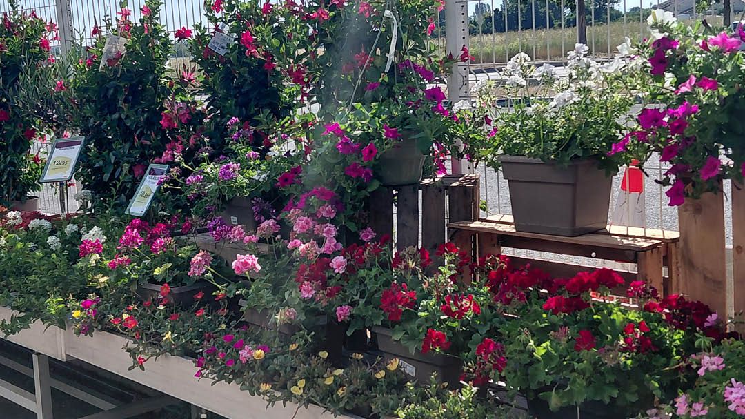 Magasin LES JARDINS DE LA COTIERE - Beynost (01700) Visuel 4