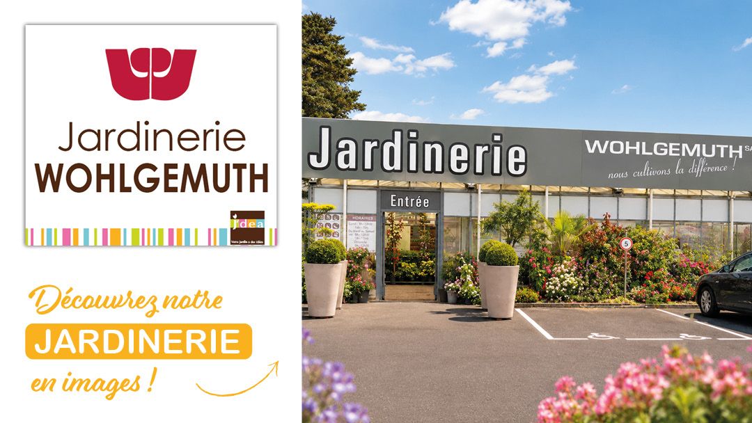 Magasin JARDINERIE WOHLGEMUTH - Iville (27110) Visuel 1