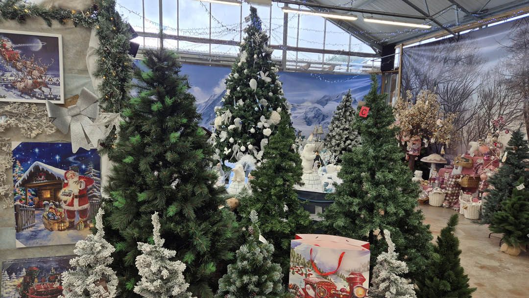 Magasin JARDINERIE DU CAP VERT - Gonneville-sur-Mer (14510) Visuel 6