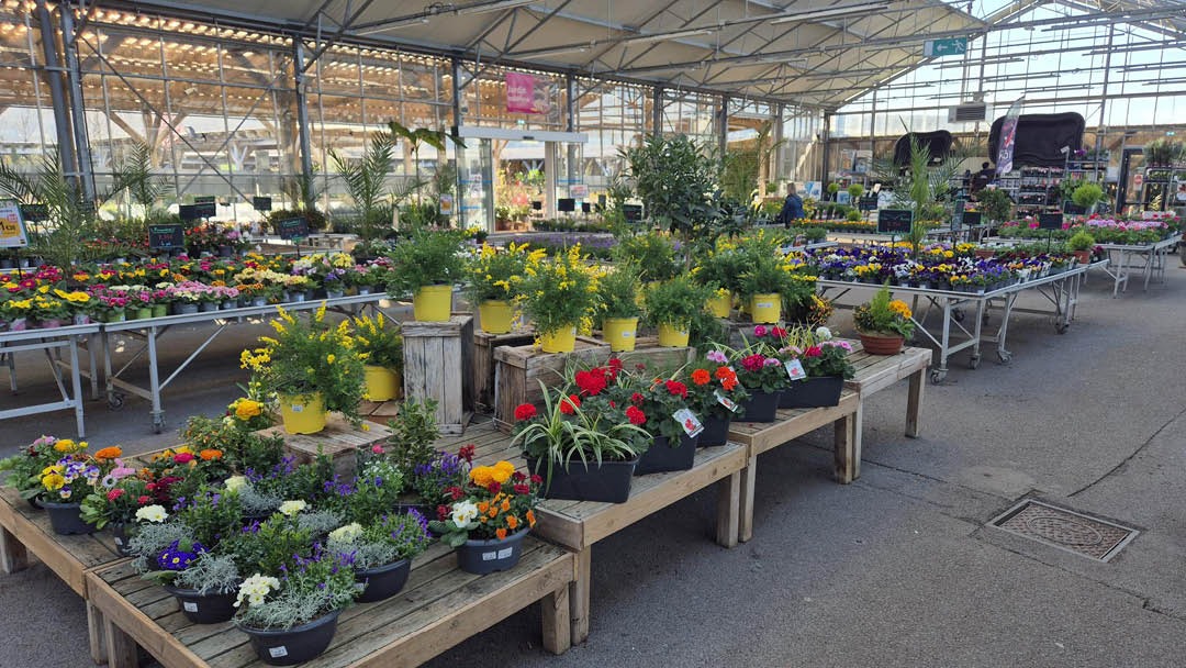 Magasin JARDIN DES SAULES  - Saint Just (27950) Visuel 3