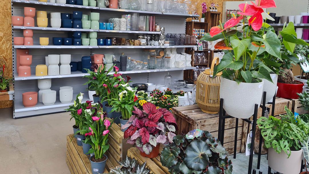 Magasin LES SERRES LANSON - Jargeau (45150) Visuel 2