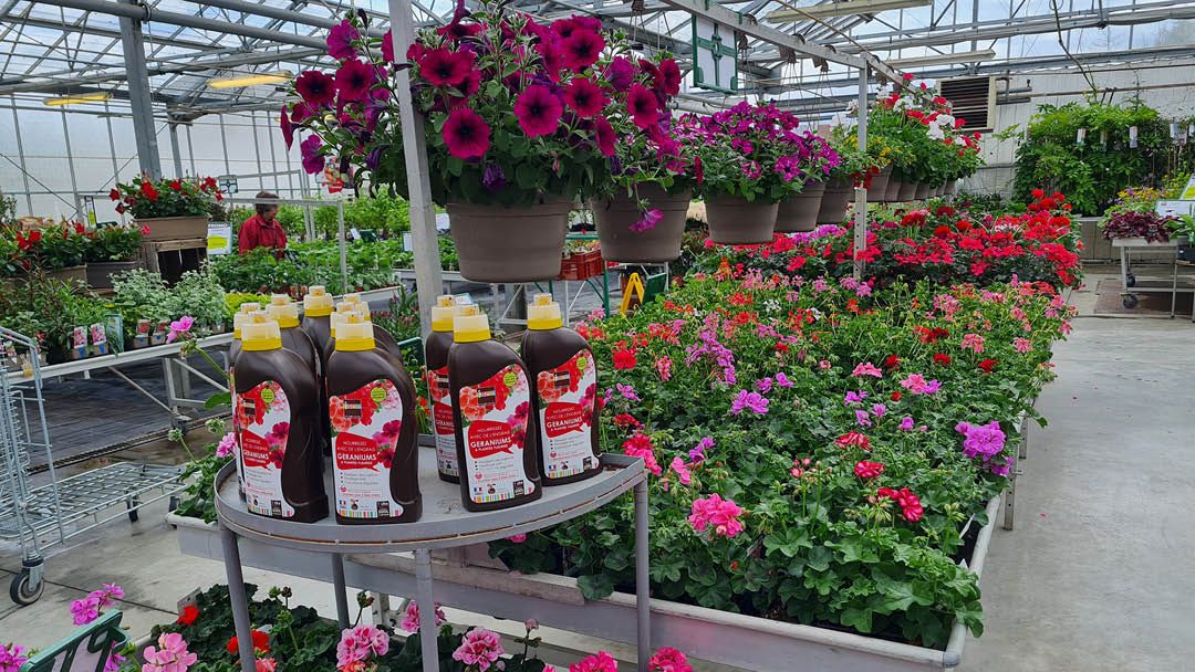 Magasin LES SERRES LANSON - Jargeau (45150) Visuel 4