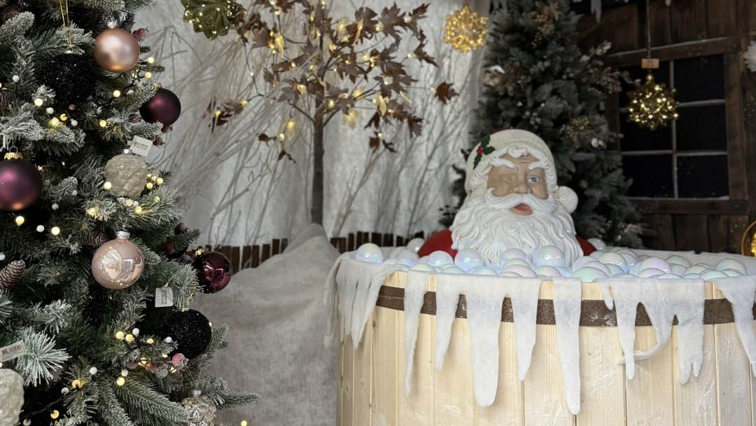 Magasin JARDINERIE SCAEL - Ligné (44850) Visuel 5