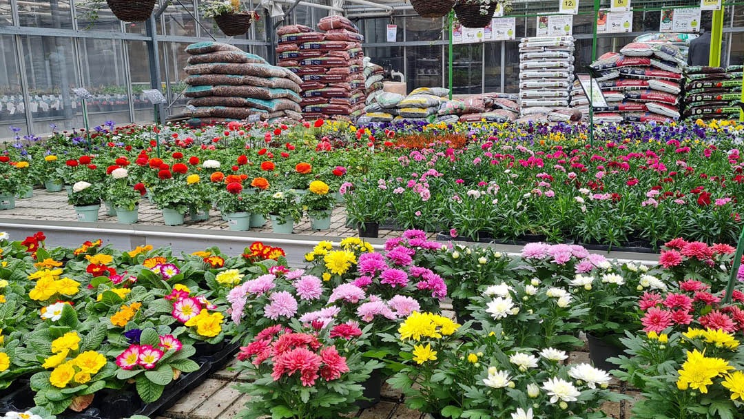 Magasin JARDINERIE LECERRE FLEURS - Beauvais (60000) Visuel 2