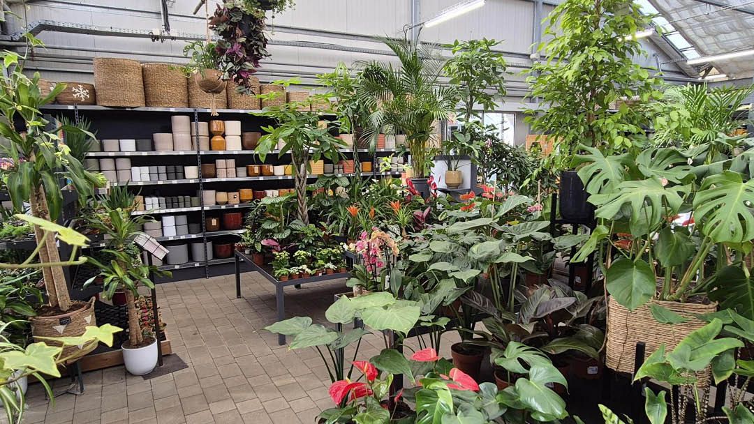 Magasin JARDINERIE DE L'ILL - Altkirch (68130) Visuel 2