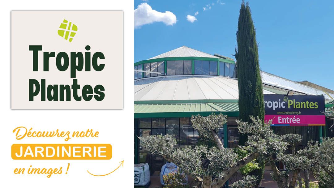 Magasin JARDINERIE TROPIC PLANTES - Caveirac (30820) Visuel 1