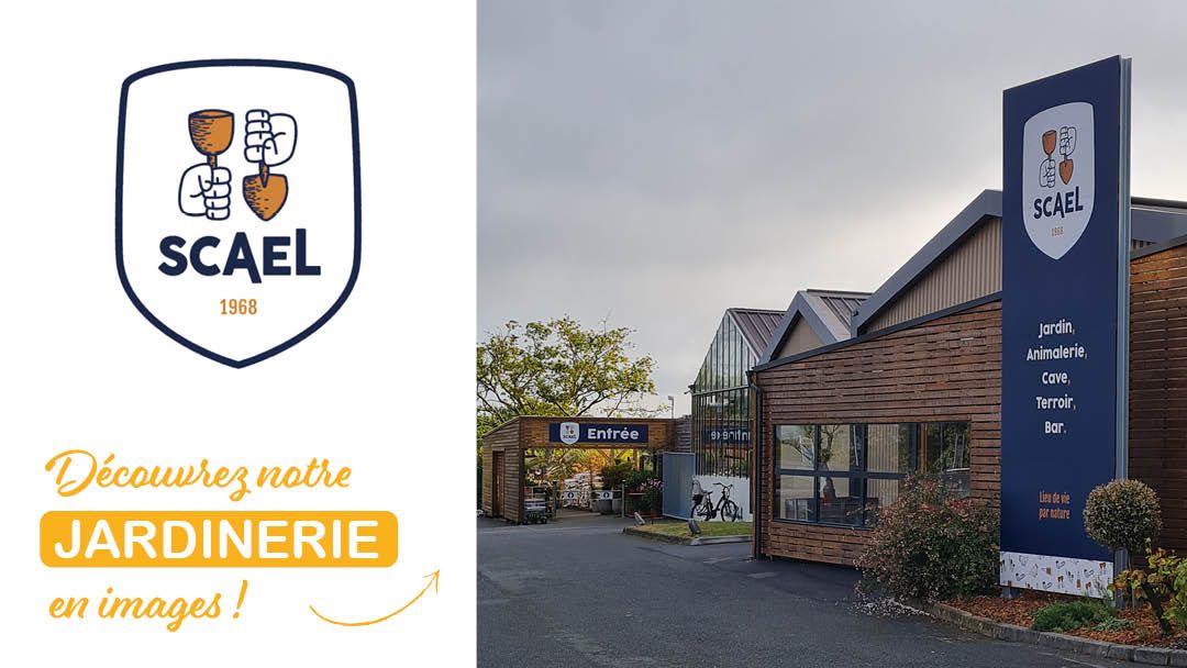 Magasin JARDINERIE SCAEL - Ligné (44850) Visuel 1