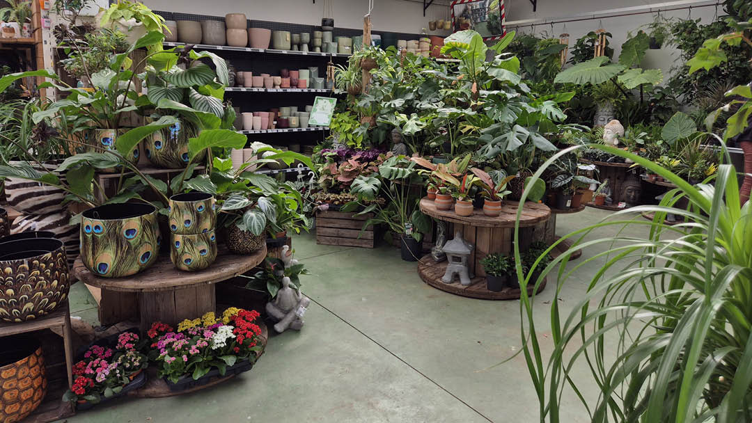 Magasin JARDINERIE EURALYS LA GORGUE - La Gorgue (59253) Visuel 2