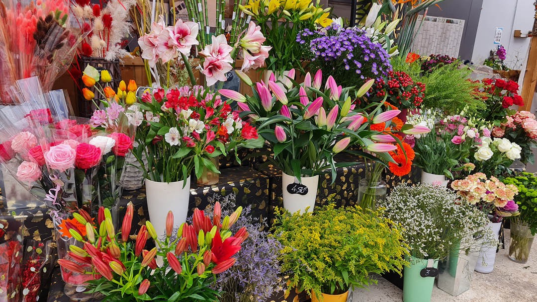 Magasin JARDINERIE BARON - Joigny (89300) Visuel 6