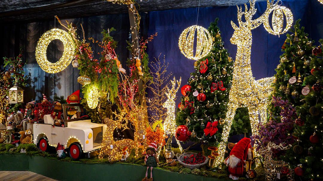 Magasin JARDINERIE JAIA BALARUC - Balaruc-le-Vieux (34540) Visuel 2