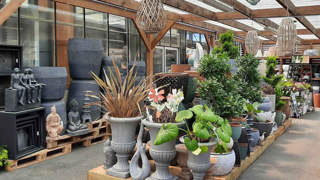 Magasin JARDINERIE SCAEL - Ligné (44850) Visuel 6