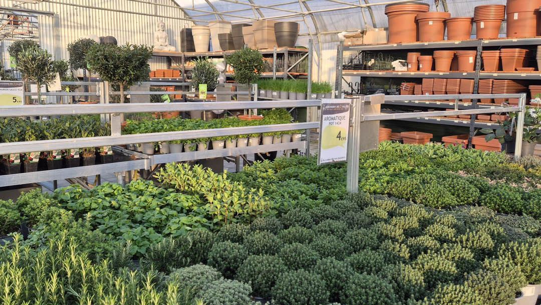 Magasin JARDINERIE DES 2 VALLEES - Cernay (68700) Visuel 4