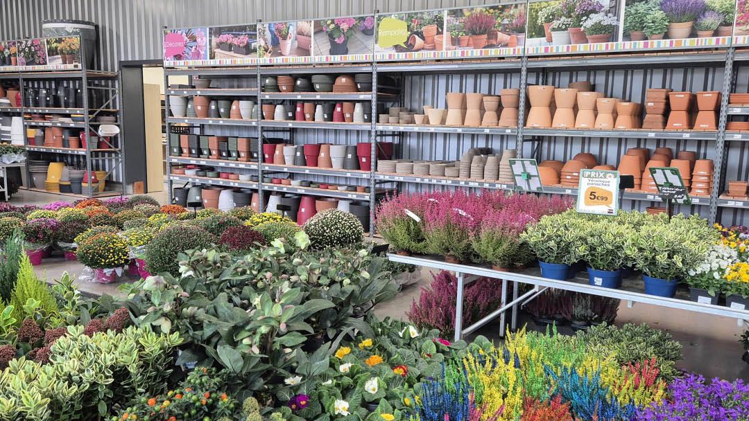 Magasin LES JARDINS DE FAREMOUTIERS  - Faremoutiers (77515) Visuel 4