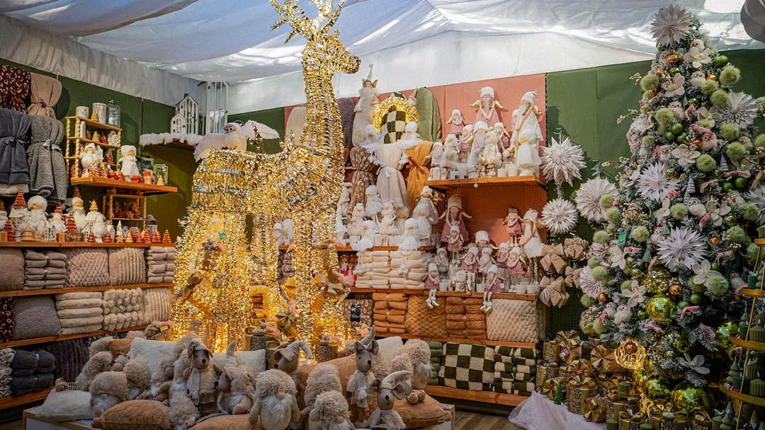 Magasin JARDINERIE JAIA BÉZIERS - Béziers (34500) Visuel 4