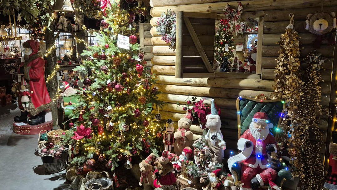 Magasin JARDINERIE DU BOIS PARIS - Chartres (28630) Visuel 2