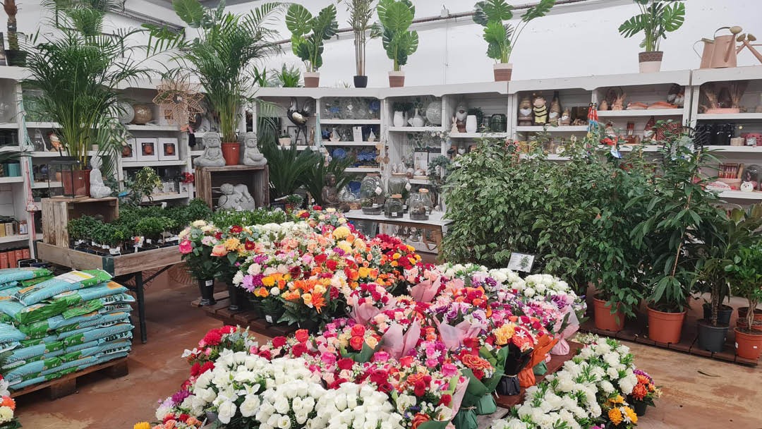 Magasin JARDINERIES D'ICI CHELLES - Chelles (77500) Visuel 3