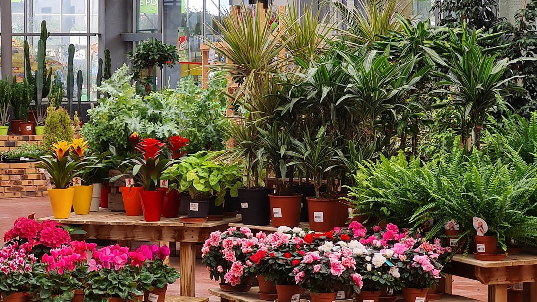 Magasin LES JARDINS DE GRAND LIEU - Pont-Saint-Martin (44860) Visuel 2