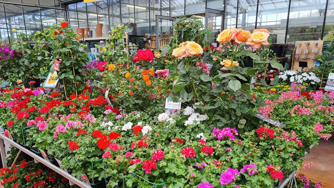 Magasin LES JARDINS DE FAREMOUTIERS  - Faremoutiers (77515) Visuel 5