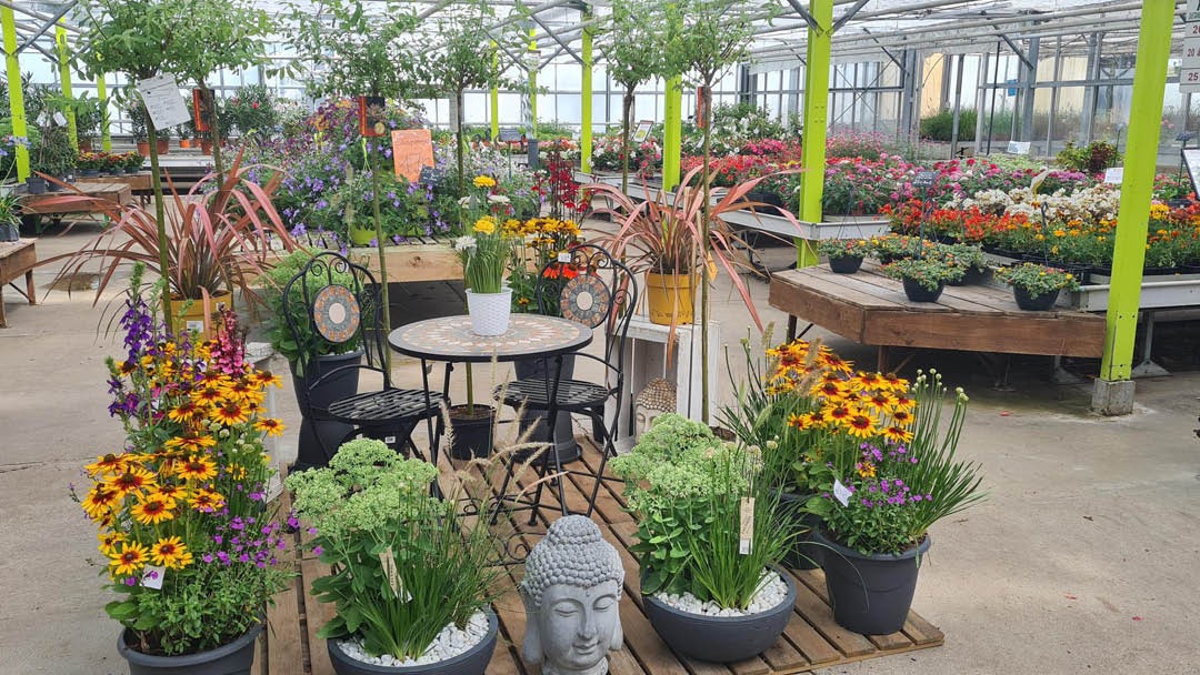 Magasin JARDINERIE LECERRE FLEURS - Beauvais (60000) Visuel 3