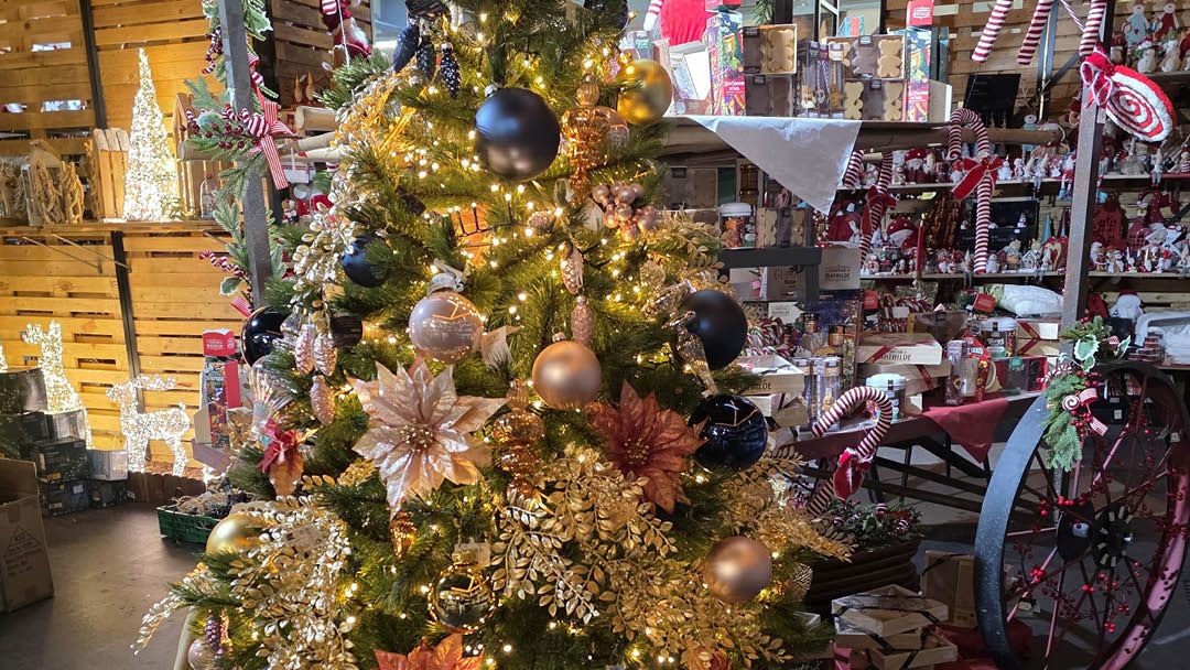 Magasin JARDINERIE DES 3 FRONTIERES - Sierentz (68510) Visuel 2