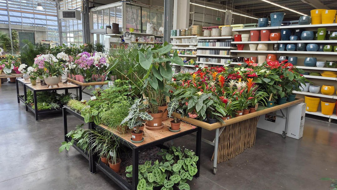 Magasin JARDINERIE LOISIFLOR - Bonny-sur-Loire (45420) Visuel 2