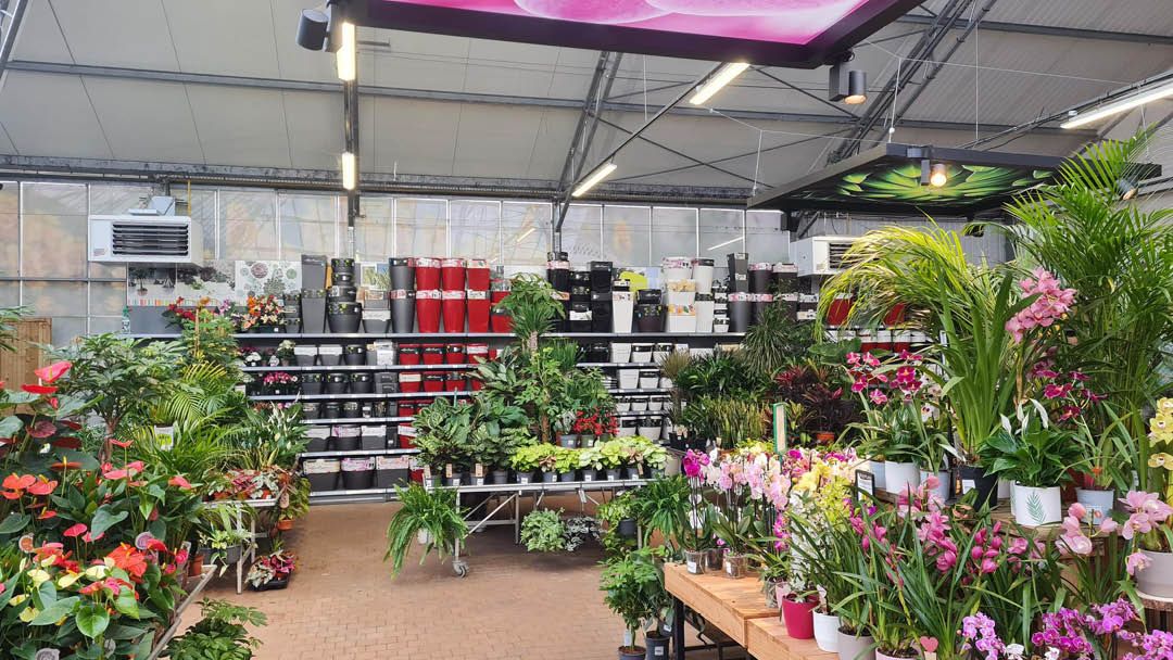 Magasin JARDIN DES SAULES  - Saint Just (27950) Visuel 2