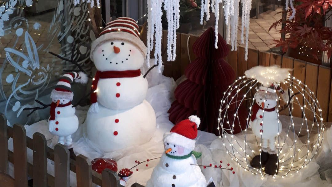 Magasin JARDINERIE PLAISIRS VERTS - Sevrier (74320) Visuel 3