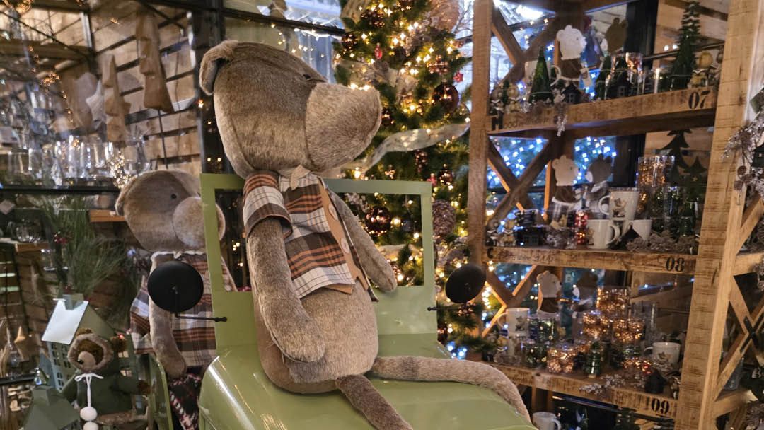 Magasin JARDINERIE DES 3 FRONTIERES - Sierentz (68510) Visuel 3