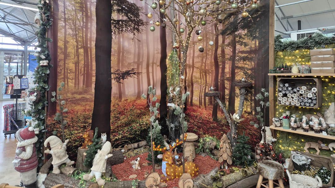 Magasin JARDINERIE DU CAP VERT - Gonneville-sur-Mer (14510) Visuel 2