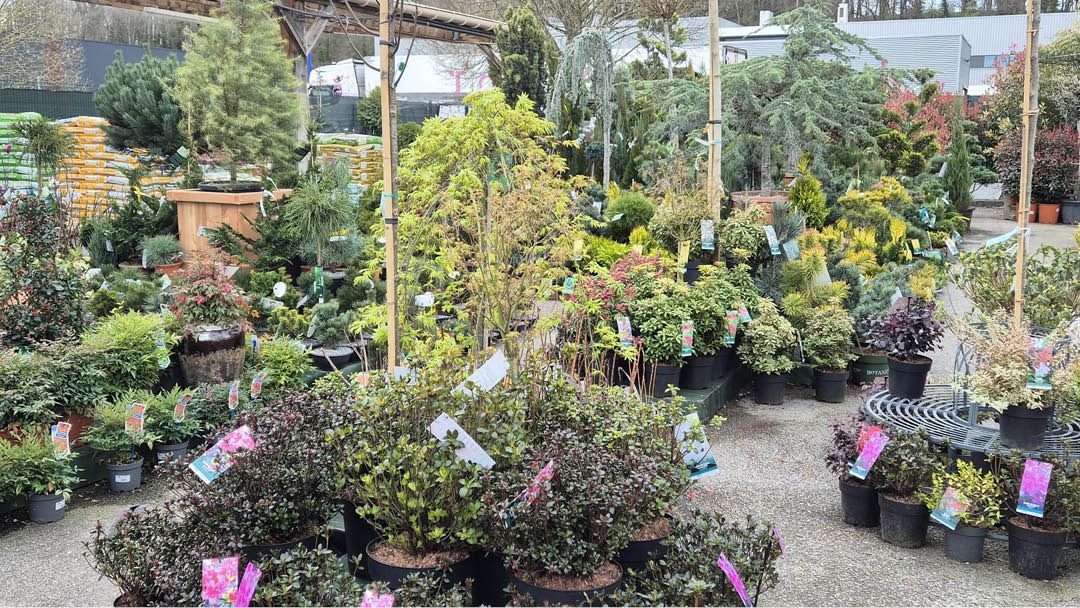 Magasin JARDINERIE DES 3 FRONTIERES - Sierentz (68510) Visuel 6