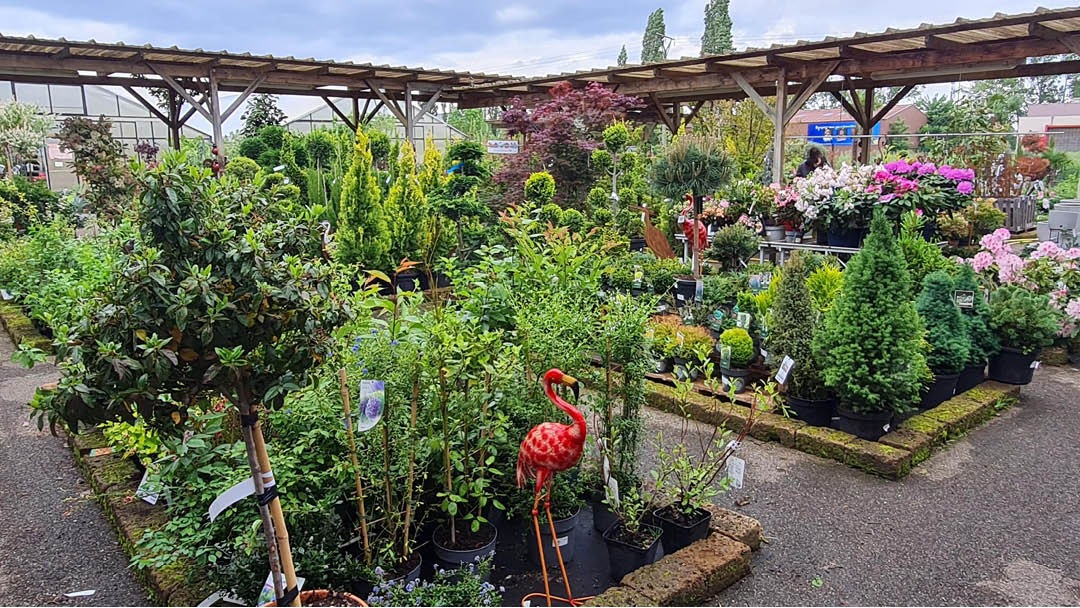 Magasin LES JARDINS DU SONNENHOF - Oberhoffen-sur-Moder (67240) Visuel 6