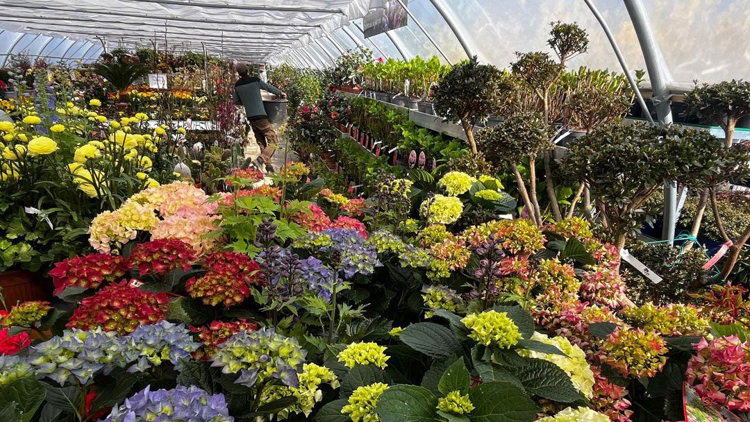 Magasin JARDINERIE DU CHÊNE - anthy-sur-leman (74200) Visuel 3