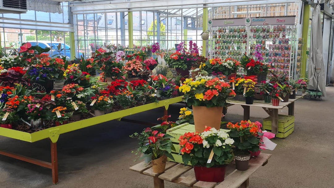 Magasin JARDINERIE DEKESTER - Granvilliers (60210) Visuel 2