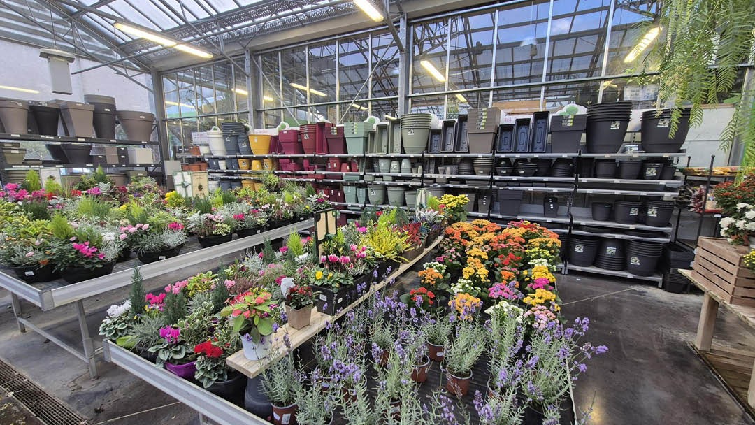 Magasin JARDINERIE GARDEN CENTRE VEYRAT - Thônes (74230) Visuel 6