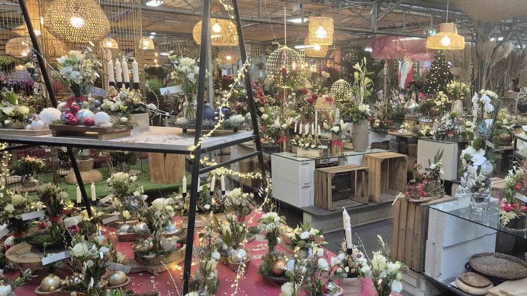 Magasin LES SERRES DU MANOIR - Rang-du-Fliers (62180) Visuel 2