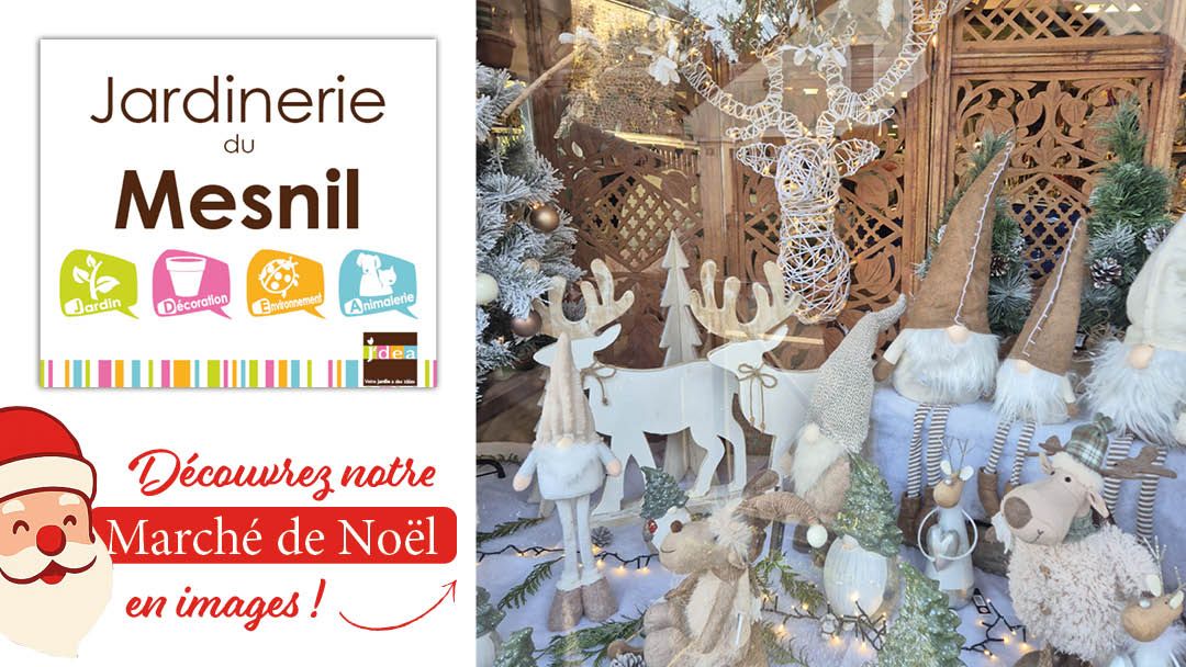 Magasin JARDINERIE DU MESNIL - Le Mesnil-Saint-Denis (78320) Visuel 1