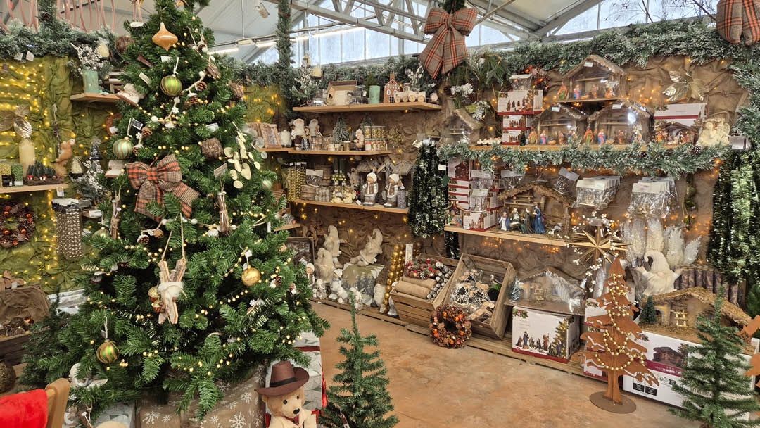 Magasin JARDINERIE DU CAP VERT - Gonneville-sur-Mer (14510) Visuel 4